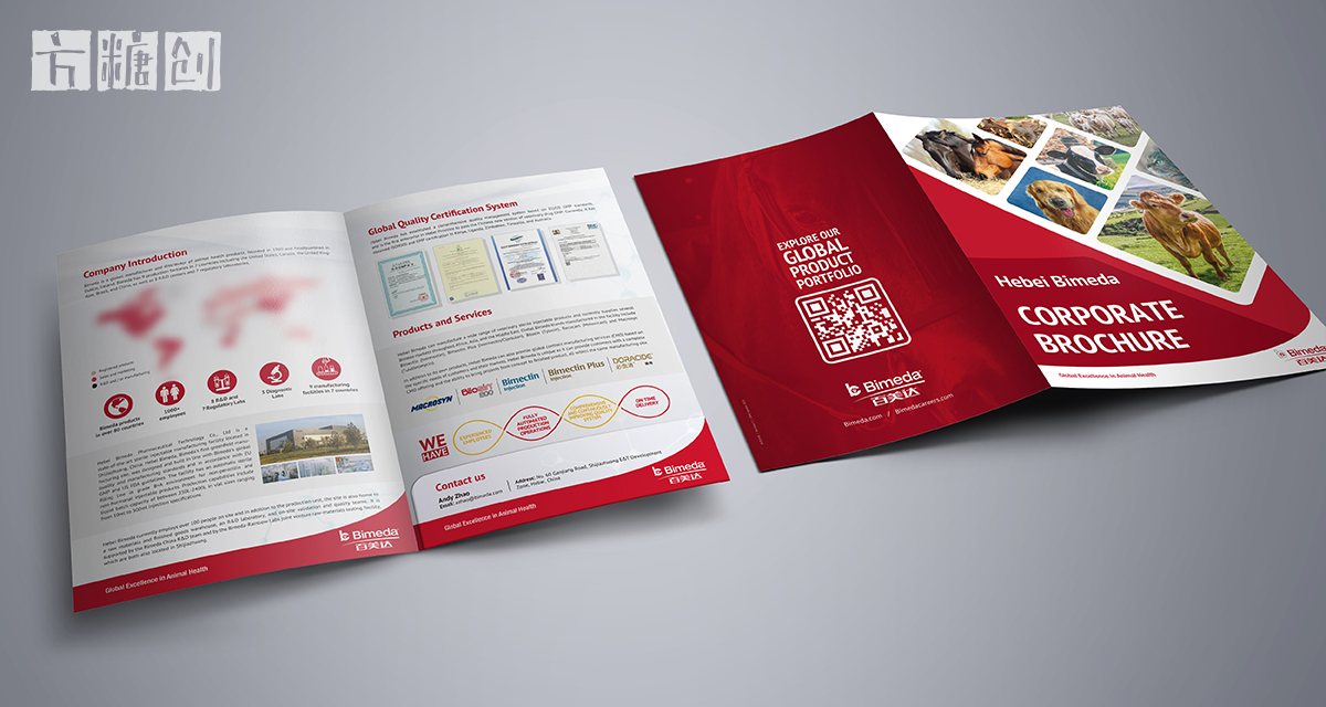 品牌形象与建设