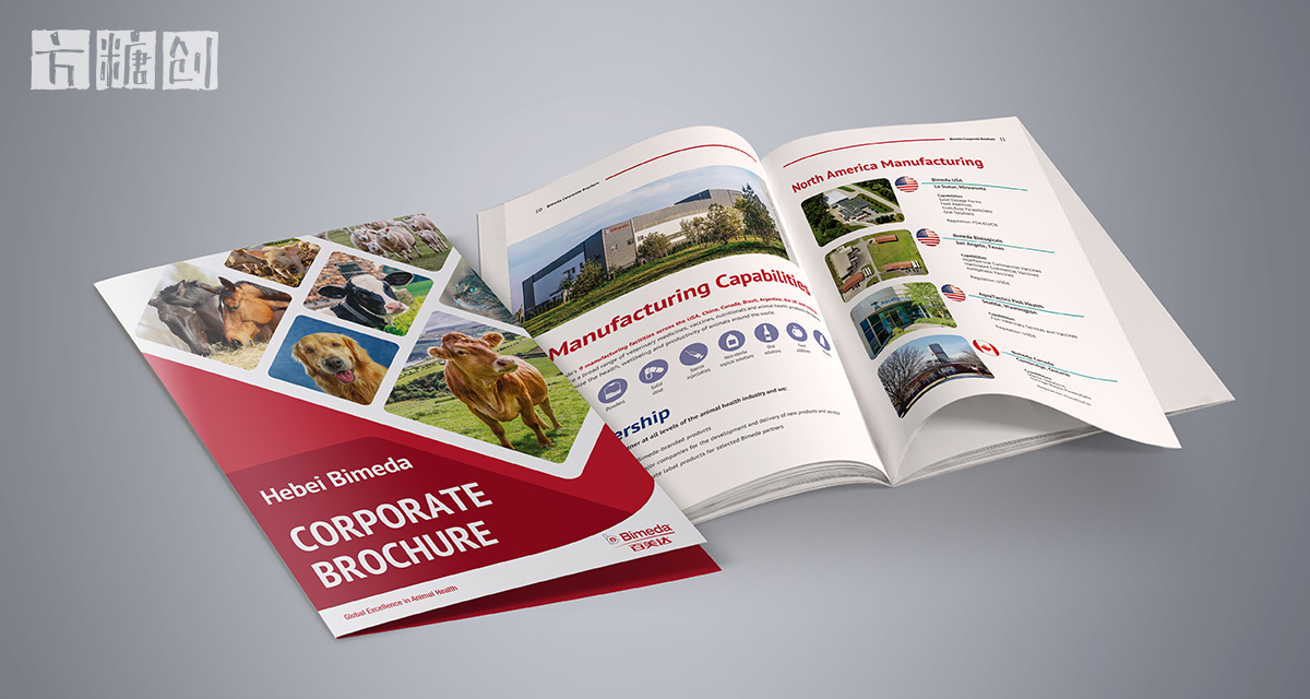 品牌形象与建设